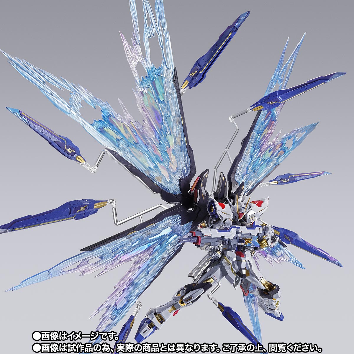 METAL BUILD ストライクフリーダムガンダム 光の翼オプションセット